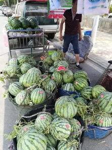 金乡吃瓜网红事件视频,揭秘网络舆论风暴背后的真相