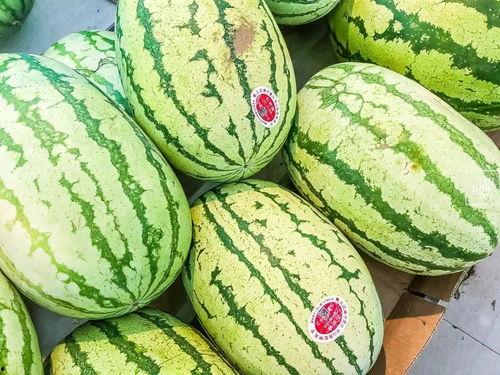 江阴网红吃瓜事件真相,揭秘背后真相与反思