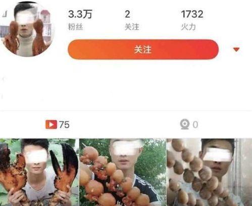 网红吃瓜黑历史是真的吗知乎