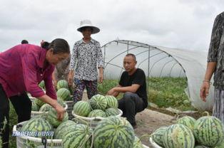 绵阳网红吃瓜事件视频